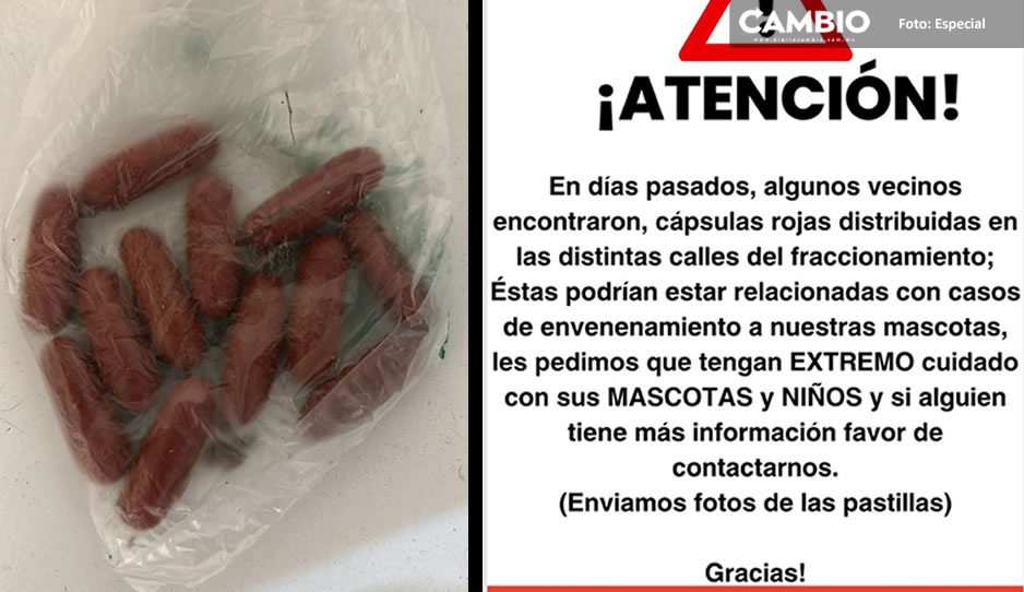 ¡Atención! Parece comida, pero es veneno para los perritos de fraccionamiento Estrellas del Sur
