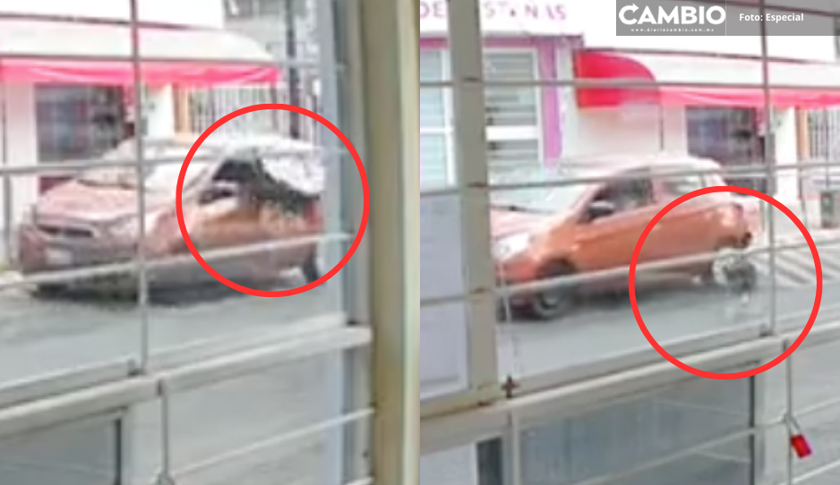 Perrito se avienta de auto en movimiento y dueño lo abandona en Rincón Arboledas (VIDEO)