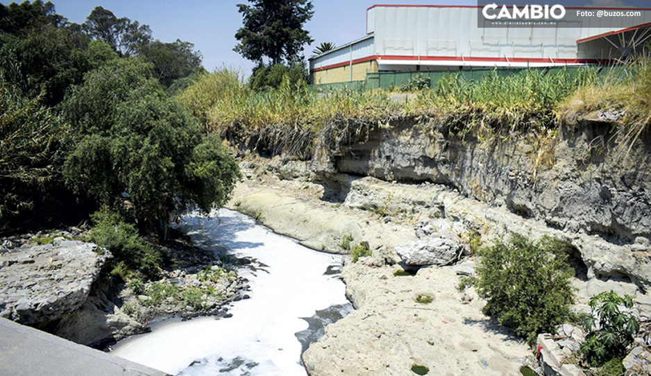 VIDEO: Regresa la &#039;espuma asesina&#039; al Río Alseseca