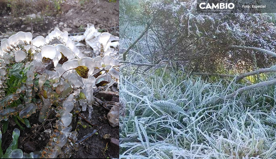 ¡Puebla se congela! Así luce la primera helada (FOTOS)