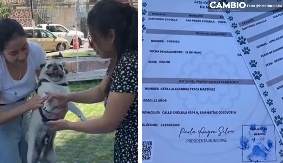 ¡Cuida a tus lomitos! Reciben 60 mascotas actas de nacimiento en San Pedro Cholula