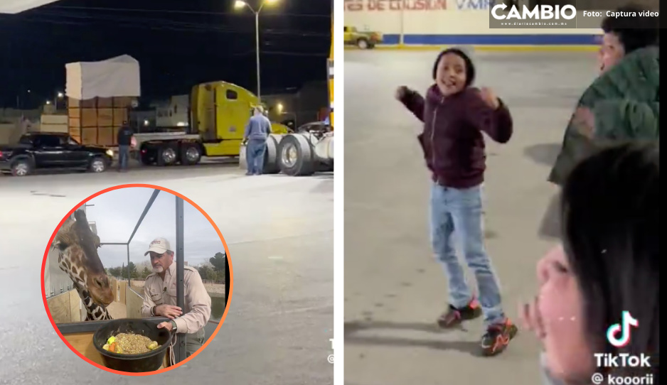 ¡Hasta la próxima Benito! Niñitos dan emotiva despedida a la jirafa rumbo a Puebla (VIDEO)