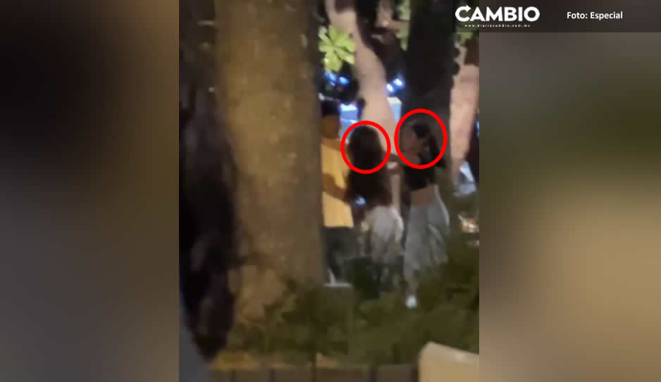 Jovencitas alcoholizadas provocan zafarrancho en la Juárez (VIDEO)