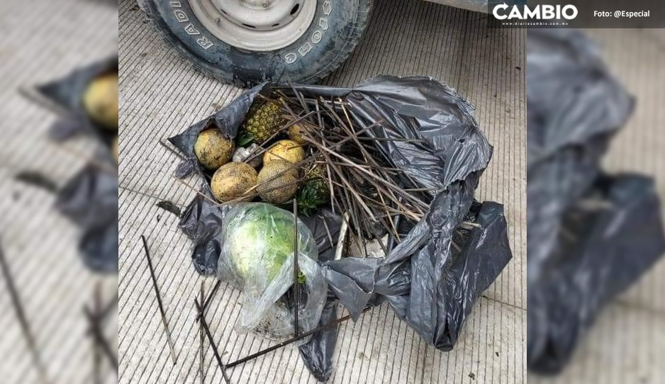 Frutas y varas causaron colapso del techo del mercado de Huejotzingo: Angélica Alvarado