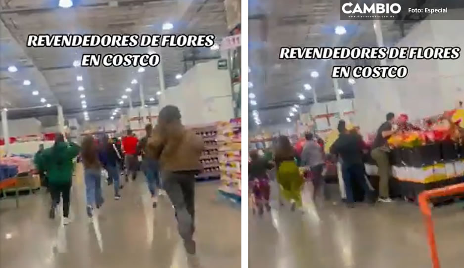 VIDEO: ¡Qué oso! Revendedores de Costco ahora pelean por flores para el 14 de febrero