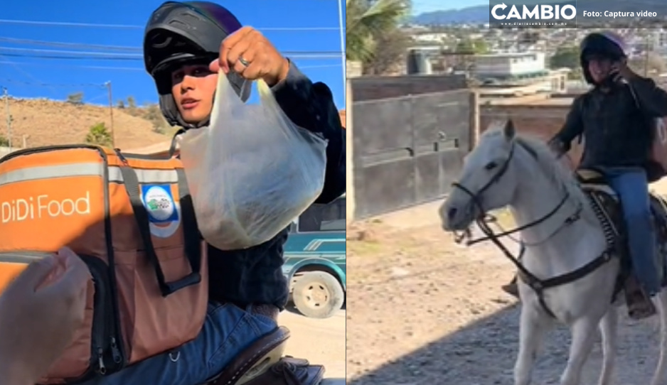 ¡Jinete Food! Repartidor de Didi hace entrega en caballo (VIDEO)