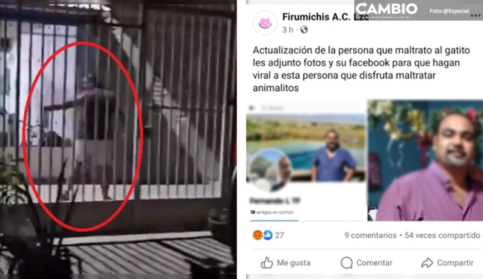 ¡Con los michis no! Captan en VIDEO brutal agresión a gatito en la calle