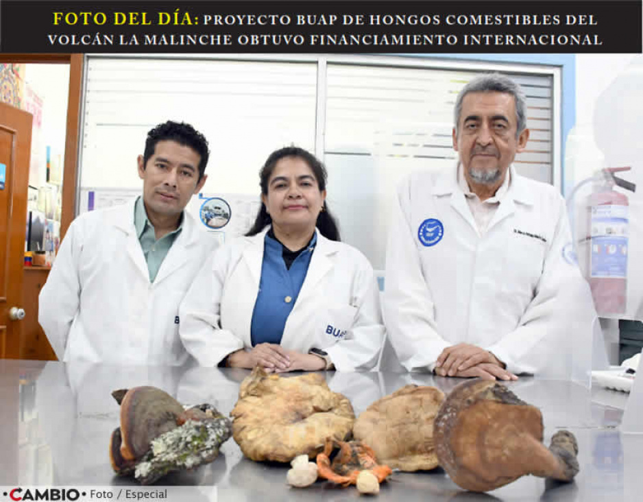 FOTO DEL DÍA: PROYECTO BUAP DE HONGOS COMESTIBLES DEL VOLCÁN LA MALINCHE OBTUVO FINANCIAMIENTO INTERNACIONAL