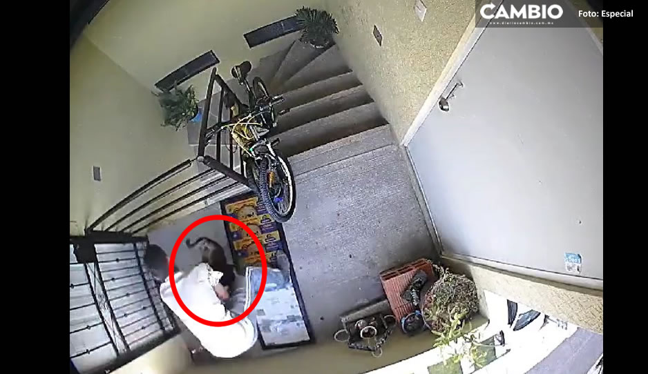 Causa indignación caso de violencia animal ocurrido en Huejotzingo: identifica al desgraciado (VIDEO)
