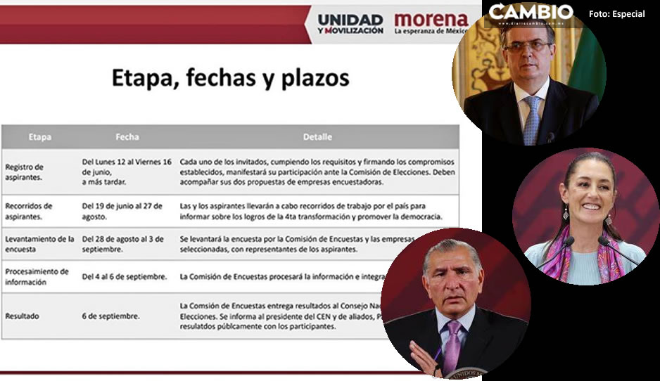 Estas son las fechas claves para el proceso presidencial de Morena