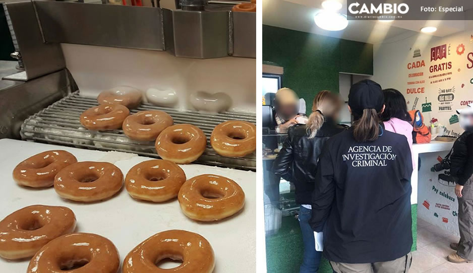 Confirma FGR tres cateos por  donas fake de Krispy Kreme en Texmelucan