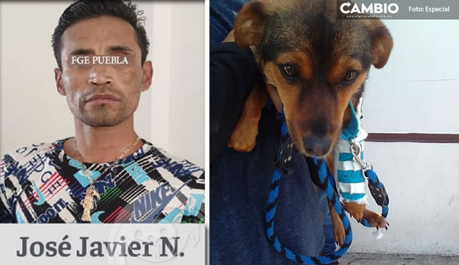FGE detiene a agresor de la perrita Enedina en Edomex a donde se había fugado