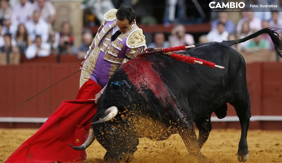 Congreso revisará iniciativas para cancelar las corridas de toros en Puebla