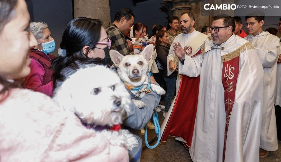 ¿Ya llevaste a tu peludito? Poblanos bendicen a sus mascotas por día de San Antonio Abad