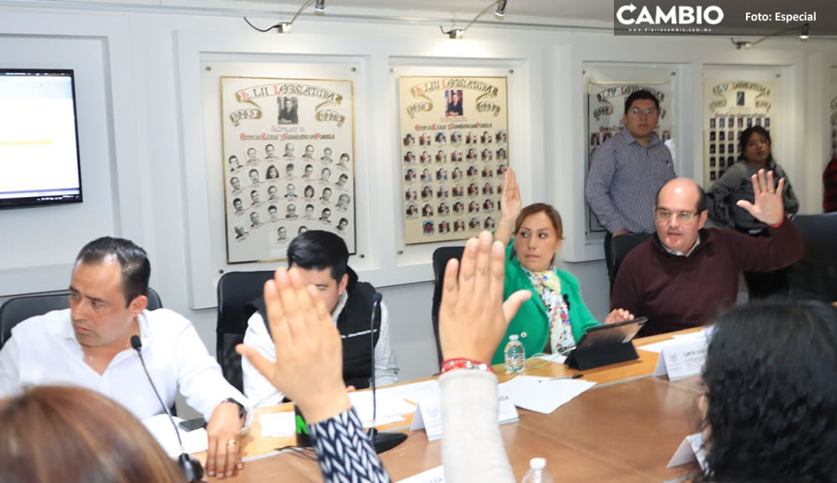 Aprueban en Comisiones Ley de Bienestar Animal en Puebla; hasta 8 años de cárcel por maltrato y zoofilia