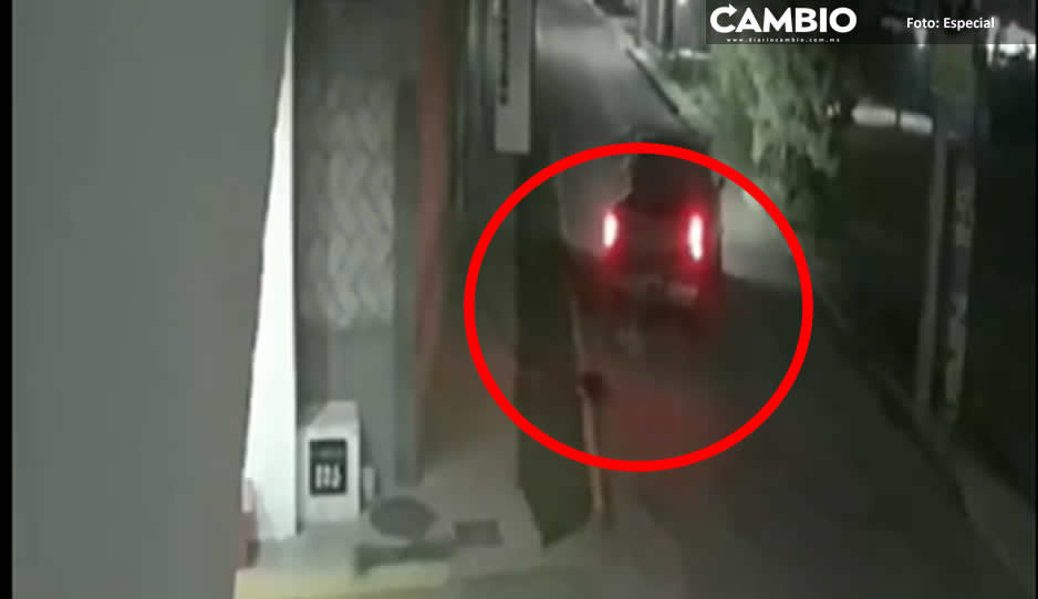 FUERTE VIDEO: Conductor despiadado atropella a perritos en Cuautlancingo