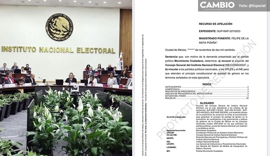 Magistrado del TEPJF propone revocar acuerdo del INE sobre paridad en gubernaturas