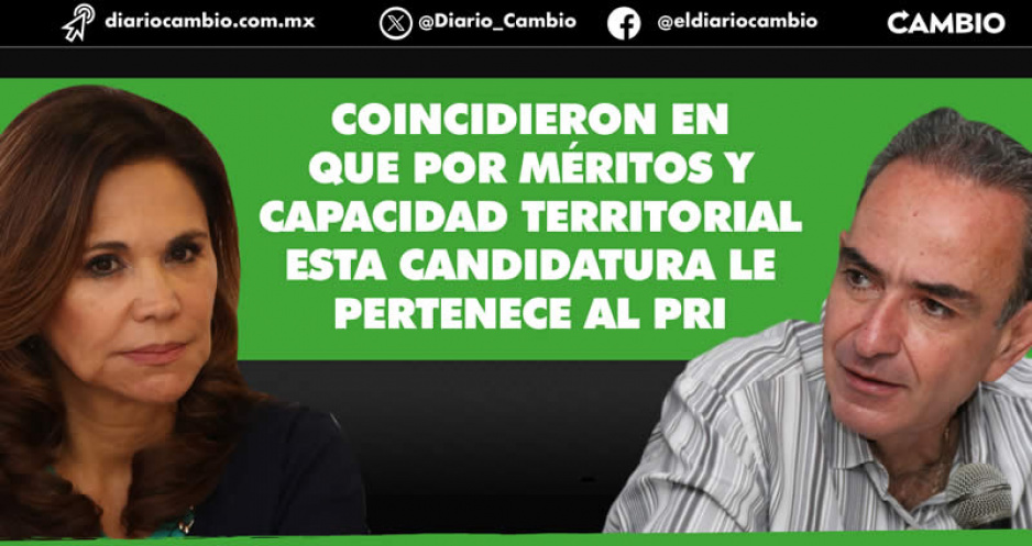Blanca y Estefan se niegan entregar primera fórmula del Senado a Nadia Navarro