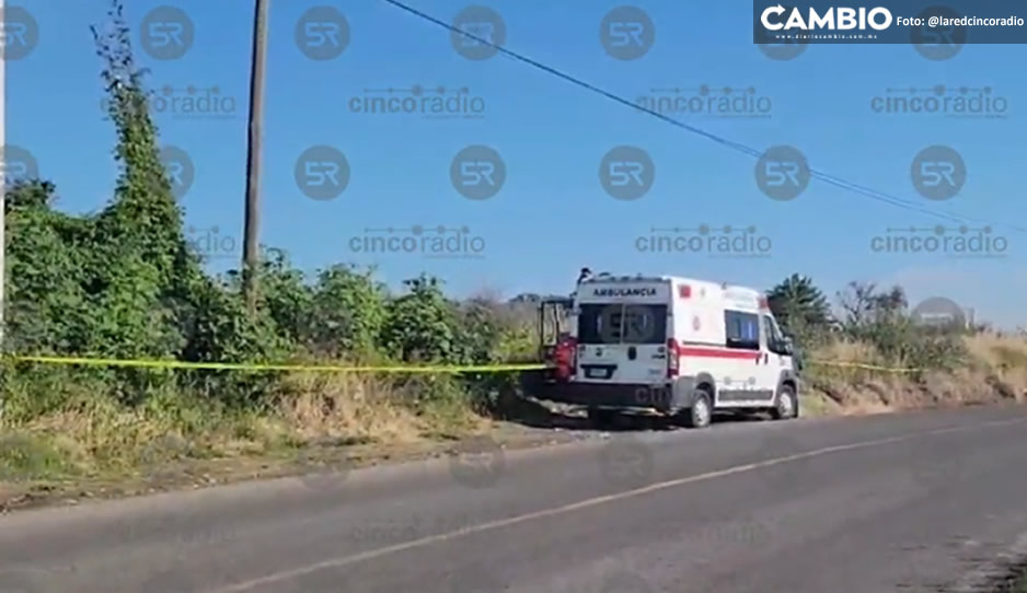 Abandonan bolsas con restos humanos en Santa Isabel Cholula