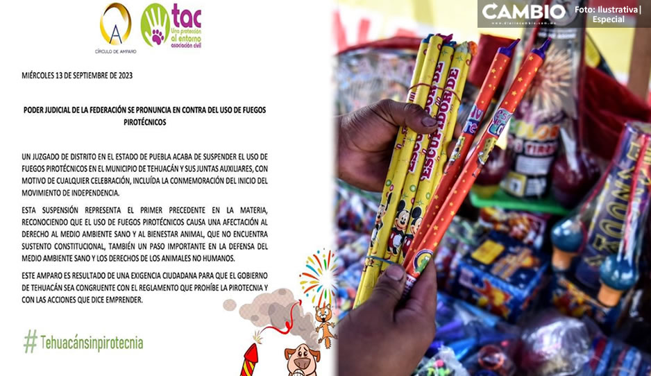 ¡Triunfaron los perritos! Prohiben uso de pirotecnia durante fiestas patrias en Tehuacán