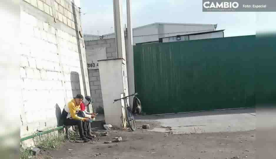Trabajadores de Plantamex acusan abusos laborales en Atlixco