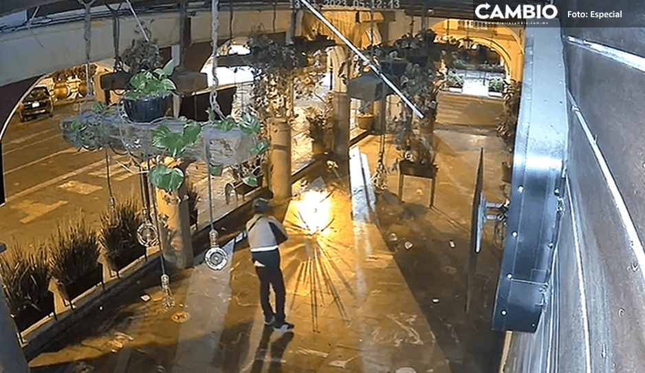Vándalo destruye pantallas de un restaurante en Atlixco (VIDEO)