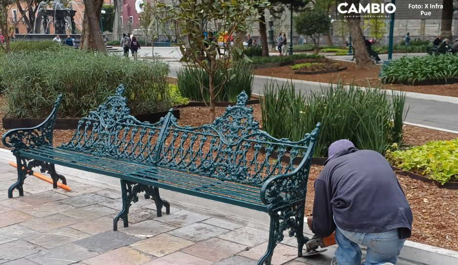 ¡Por fin! Tras más de una semana, ayuntamiento retira banca rota del Zócalo