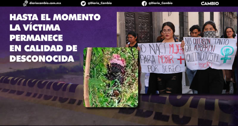 Feminicidio 40: abandonan el cadáver de una mujer en un camino ejidal en Jalpan
