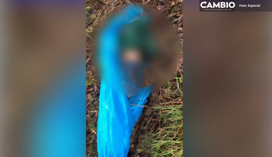 Abandonan cadáver de hombre con signos de tortura en Tlatlauquitepec
