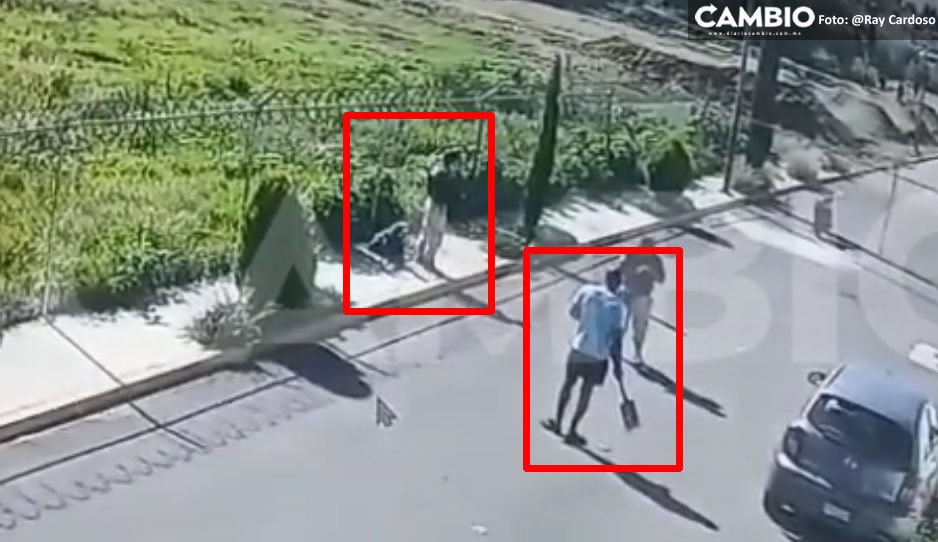 VIDEO: ¡Ya basta! Intentan agredir a perrito con una pala en Cuautlancingo