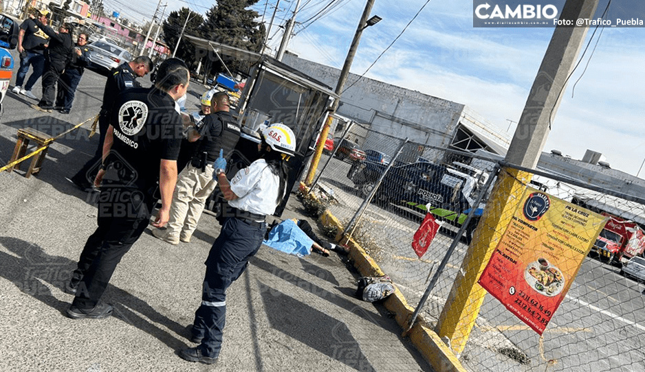 ¡Terrible! A tubazos lo asesinan en Mayorazgo