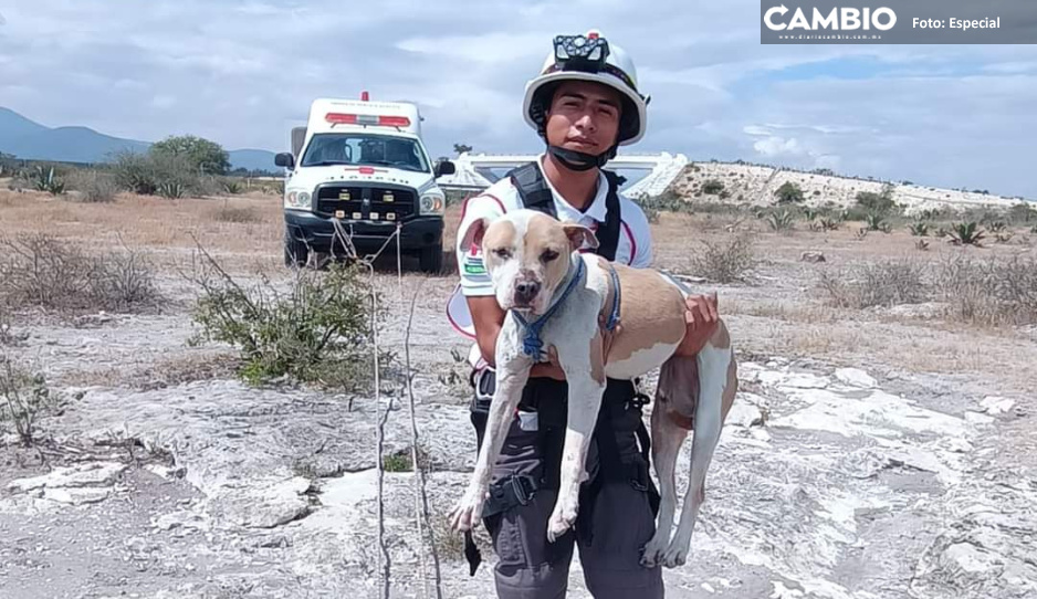 ¡Héroes sin capa! Cruz Roja rescata a perrita que cayó en pozo en Tehuacán