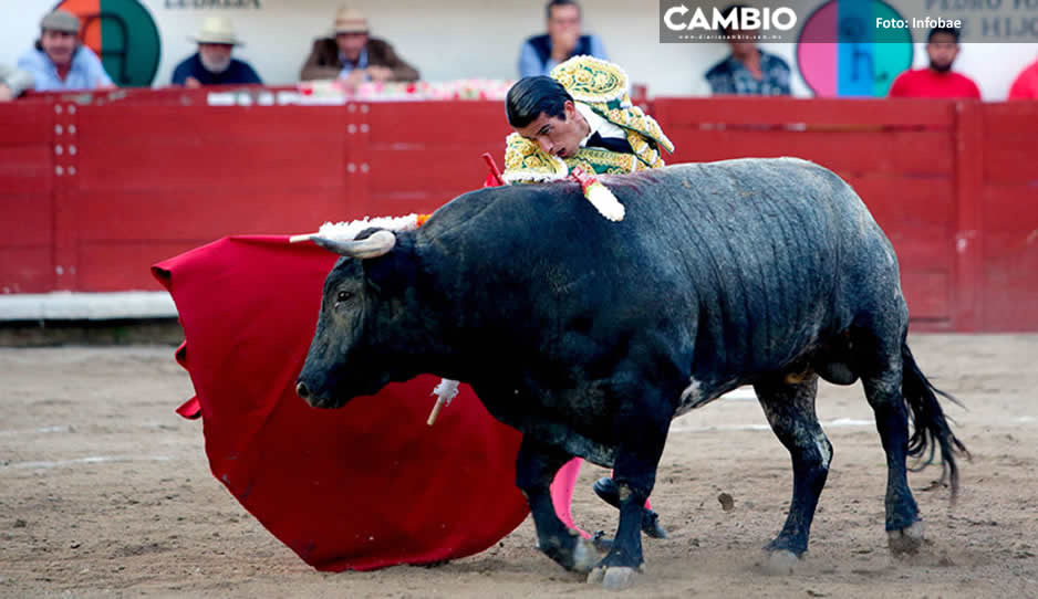 Congreso de Puebla analizará cancelar corridas de toros