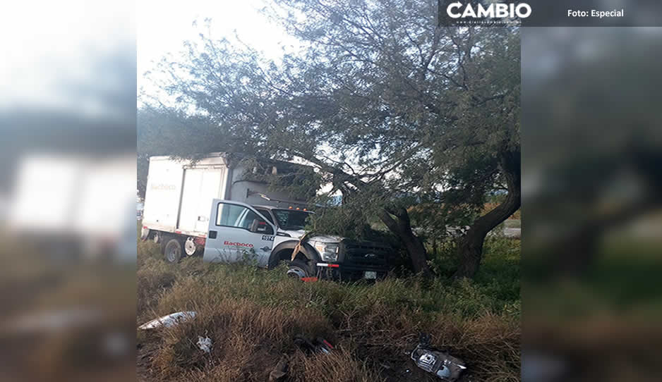Conductor pierde el control de su vehículo por intento de asalto y se estampa contra un árbol (FOTOS)