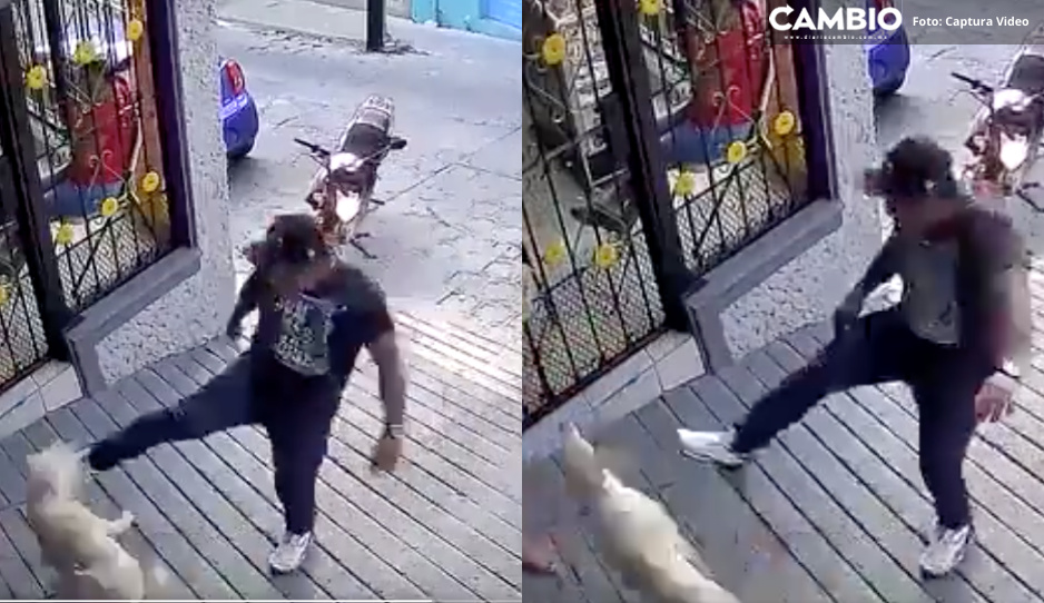 ¡Lo sacó volando! Captan en VIDEO a desalmado pateando un perrito