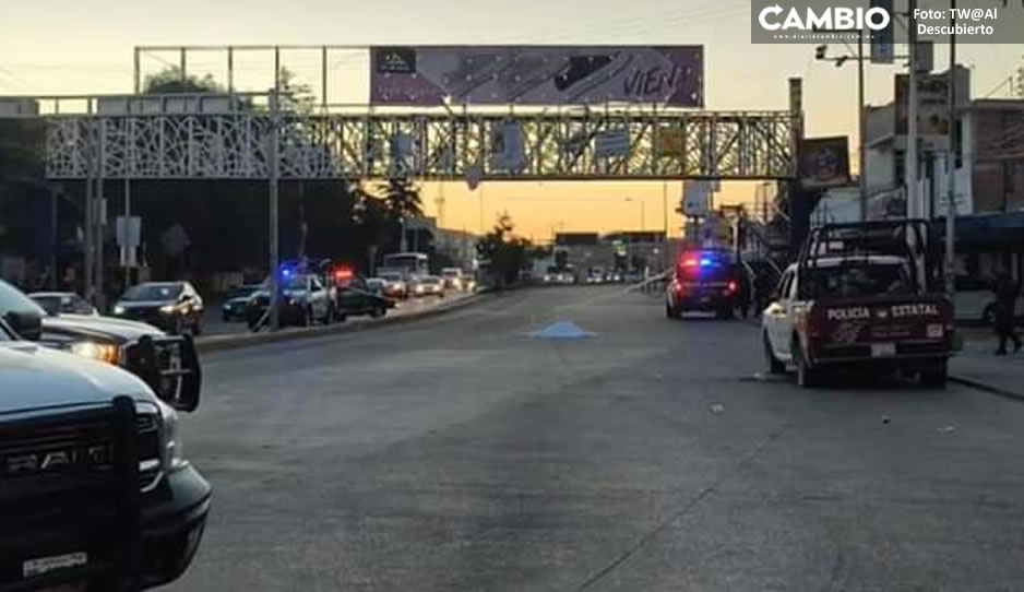 Confirman que balacera en bar Pinochos deja tres policías heridos