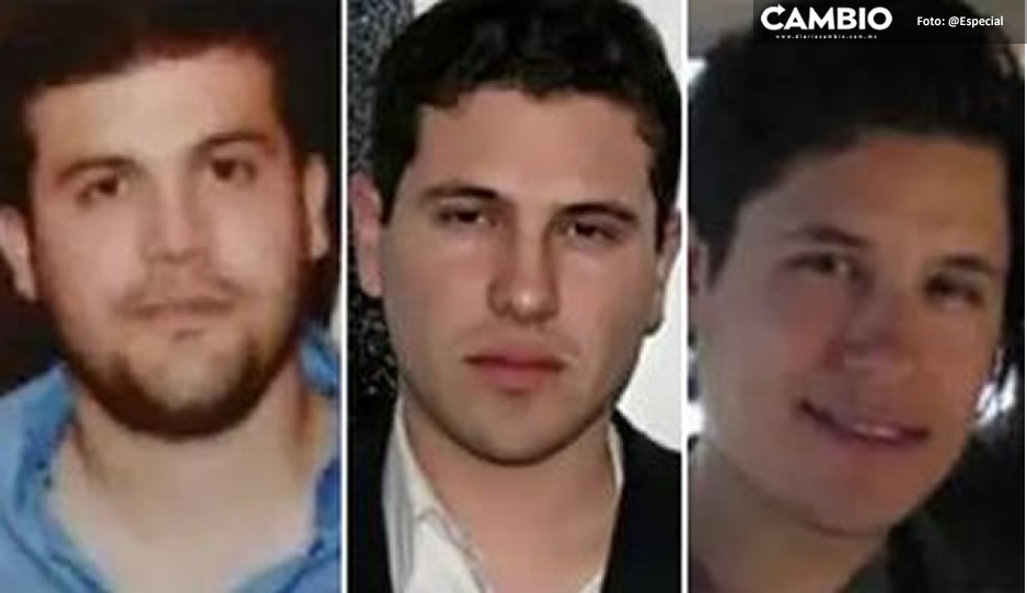 ¿En dónde se esconden &quot;Los Chapitos&quot; tras la captura de Ovidio Guzmán?