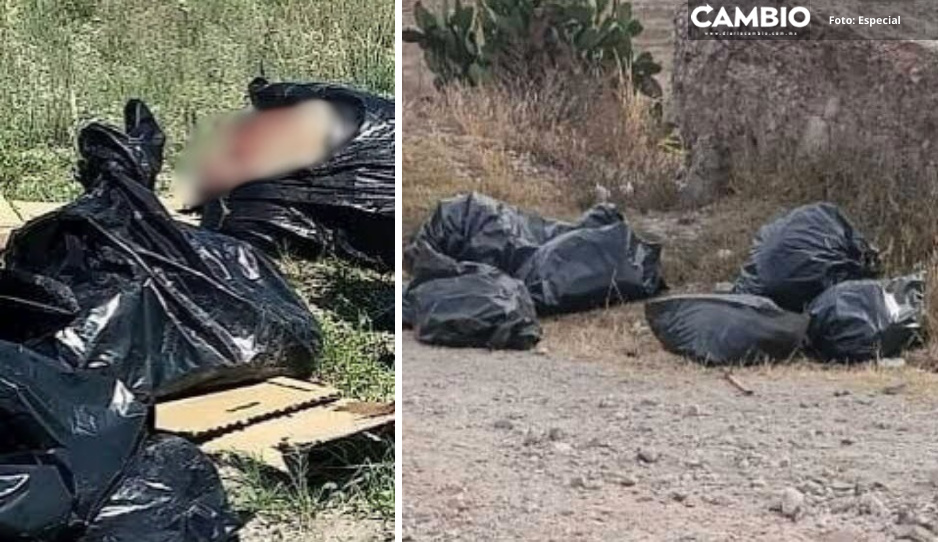 ¡Terrorífico! Abandonan bolsas con cinco desmembrados en Cañada Morelos (FOTOS)