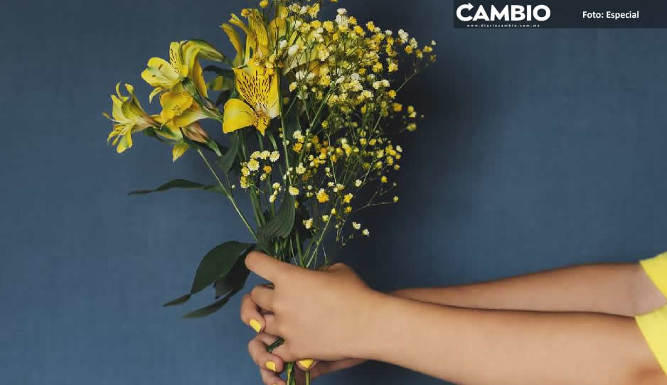 ¿Tu pareja te pidió flores amarillas? Aquí la razón de regalarlas