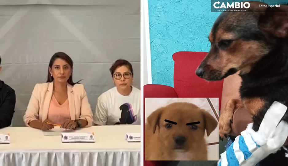 Angélica Alvarado por fin da la cara tras el ataque a la perrita Enedina en Huejotzingo