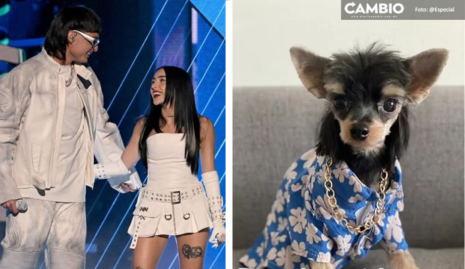 Nicki Nicole se disculpa por comparar a Peso Pluma con un perro