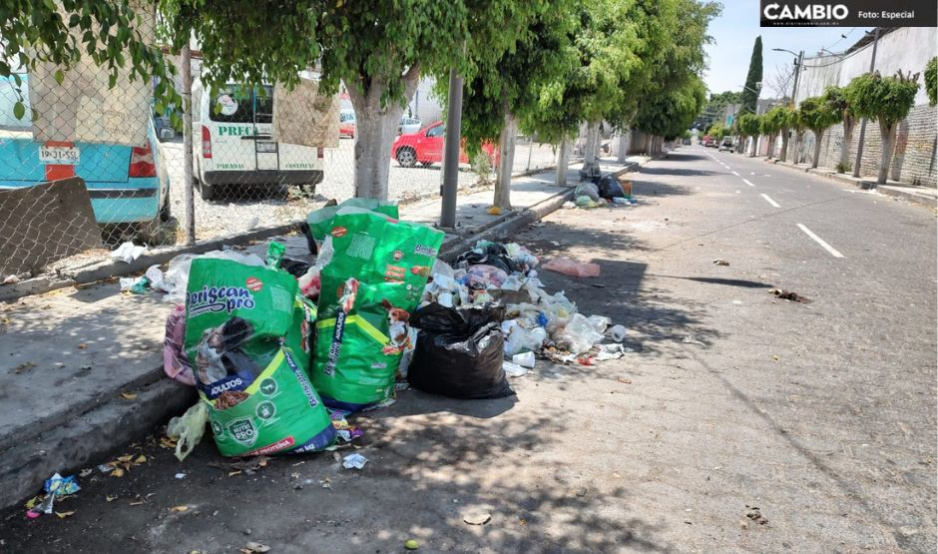 Hallan feto dentro de bolsa de basura en Tehuacán