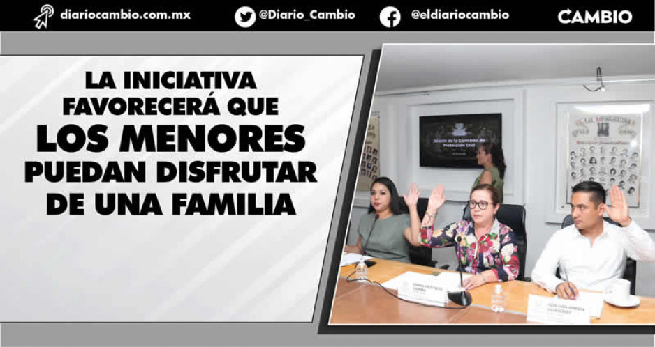 Pleno aprobará hoy reducir los tiempos de Adopción: pasará de cinco años a seis meses