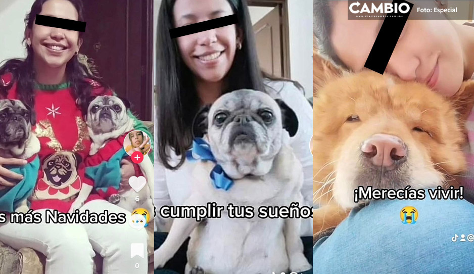 Te amamos, conejito, el emotivo VIDEO de la familia de Alicia Esmeralda