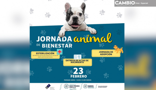 Expiden mil 200 actas de nacimiento de mascotas durante Jornadas de Bienestar Animal en Cholula