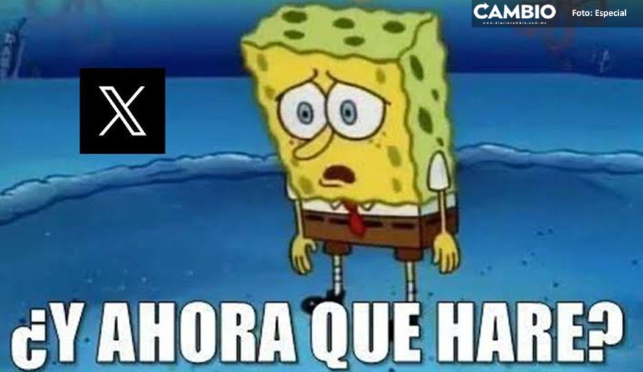 Estos son los mejores memes de la caída de “X” a nivel mundial