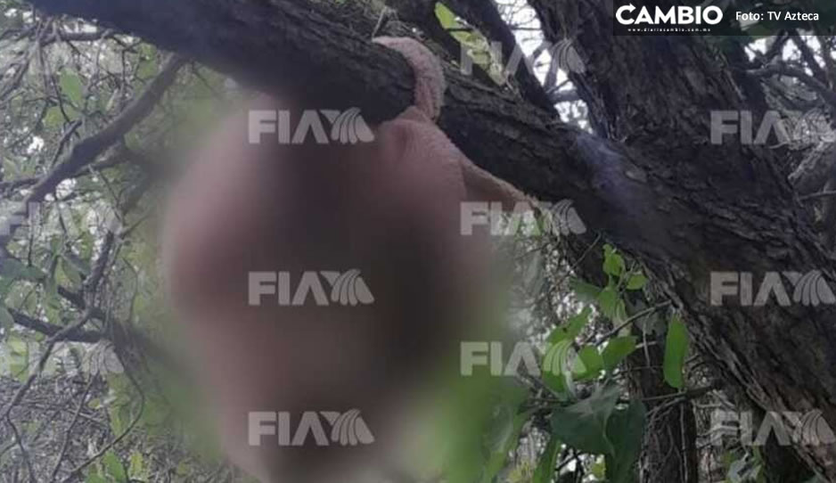 ¡De terror! Hallan cráneo humano colgado de un árbol en San Lorenzo Almecatla (FUERTE FOTO)