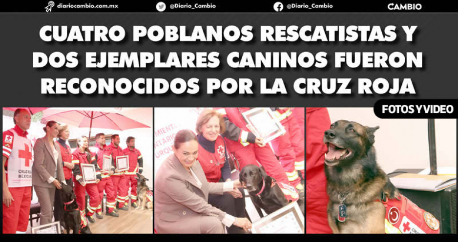 Héroes: binomios caninos de Cruz Roja Puebla apoyaron a salvar 4 personas y 33 cuerpos en Turquía