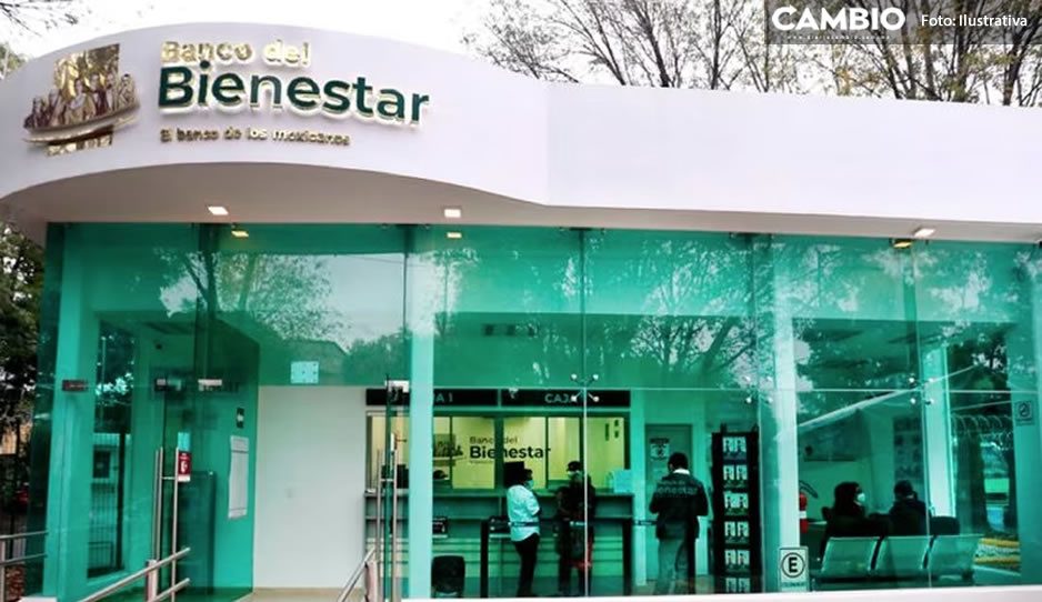 Abuelitos se quedan sin su pensión, roban 7 millones al Banco del Bienestar (VIDEO)