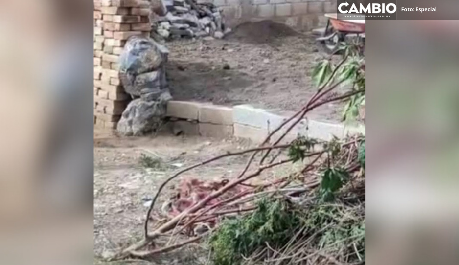 Hallan entre cobijas restos óseos de bebé en Nicolás Bravo
